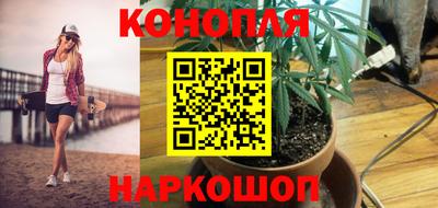 ГАЛЛЮЦИНОГЕННЫЕ ГРИБЫ Будённовск