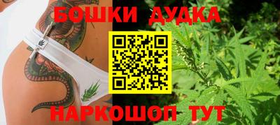 ГАЛЛЮЦИНОГЕННЫЕ ГРИБЫ Будённовск