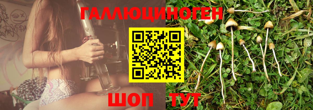 Где купить  Конопля  Вход с VPN  Кунгур  Меф  