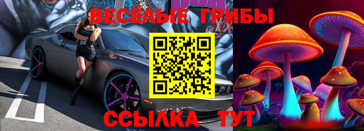 Кунгур  Галлюциногенные грибы прущие грибы  Псилоцибиновые грибы Psilocybe  Вход с VPN 